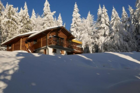 La Sérotine Chalet GERARDMER
